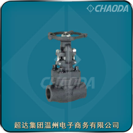 Class300�ݼy�B�����l�y