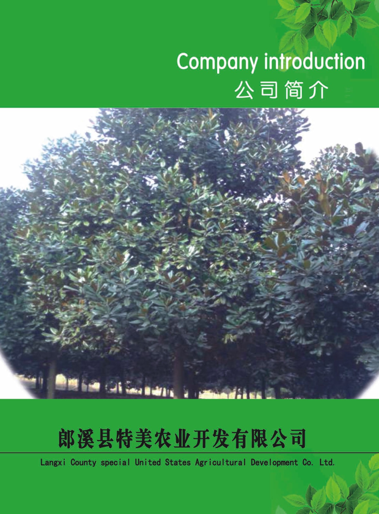 ��Ϫ�h�����r�I�_�l��Әӱ�����