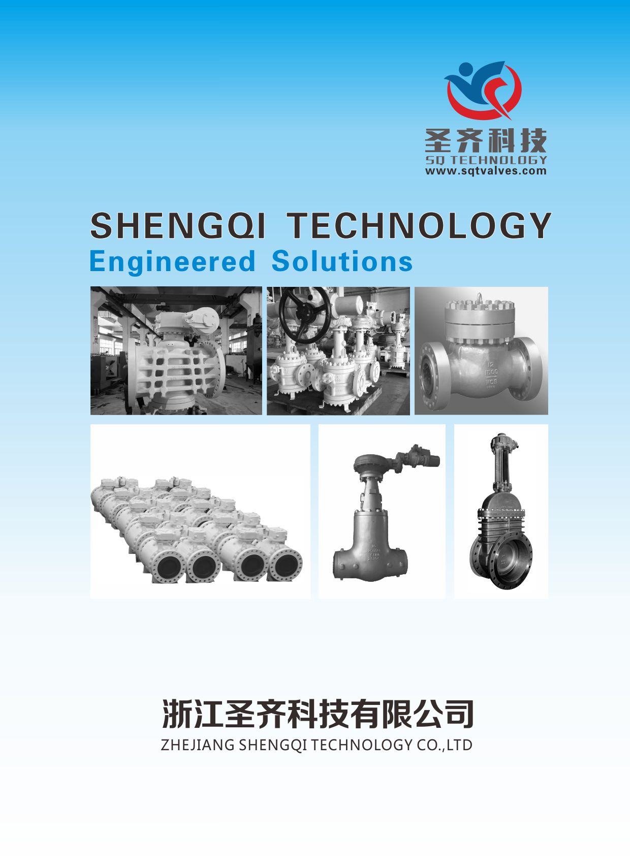 SHENGQI TECHNOLOGY(ʥ�R�Ƽ���E-BOOK